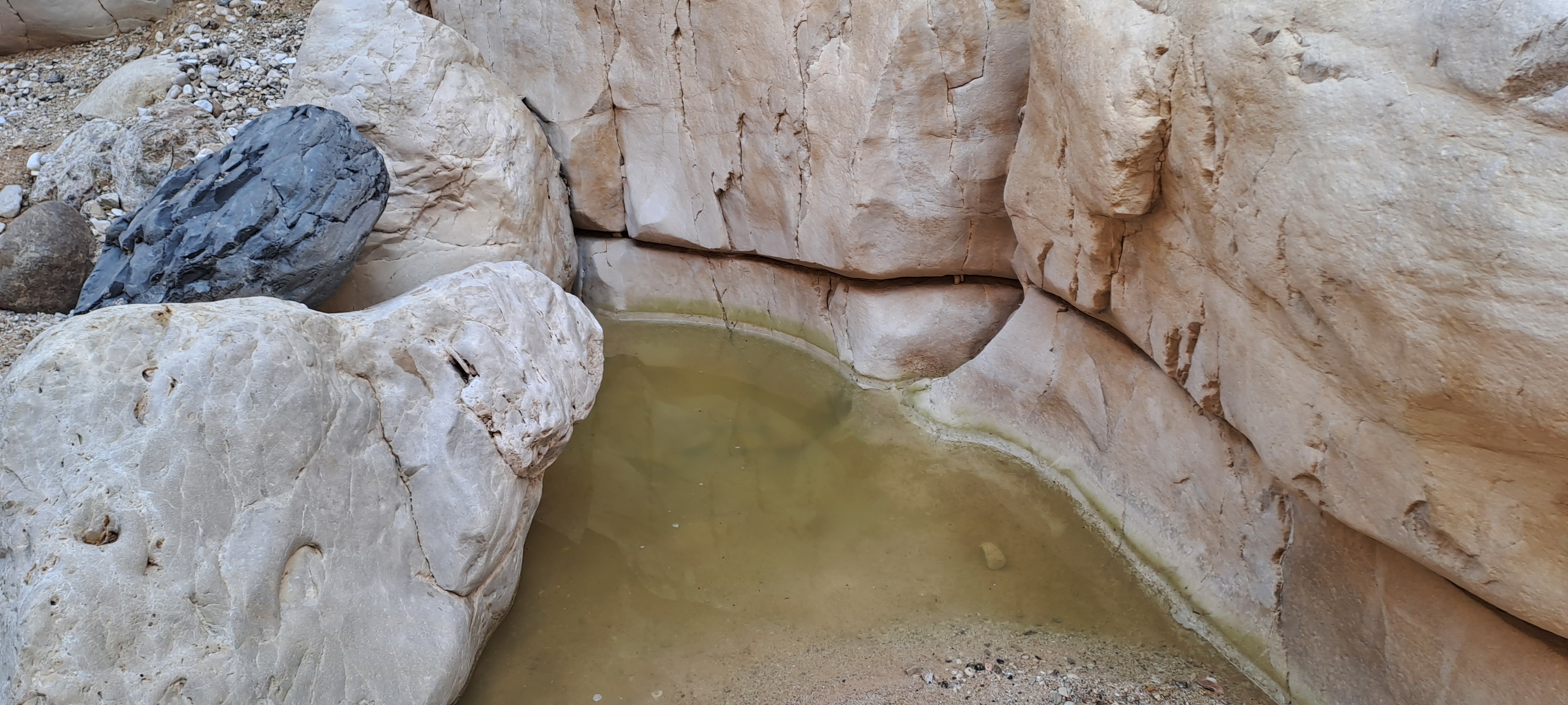 טיולי ירושלים