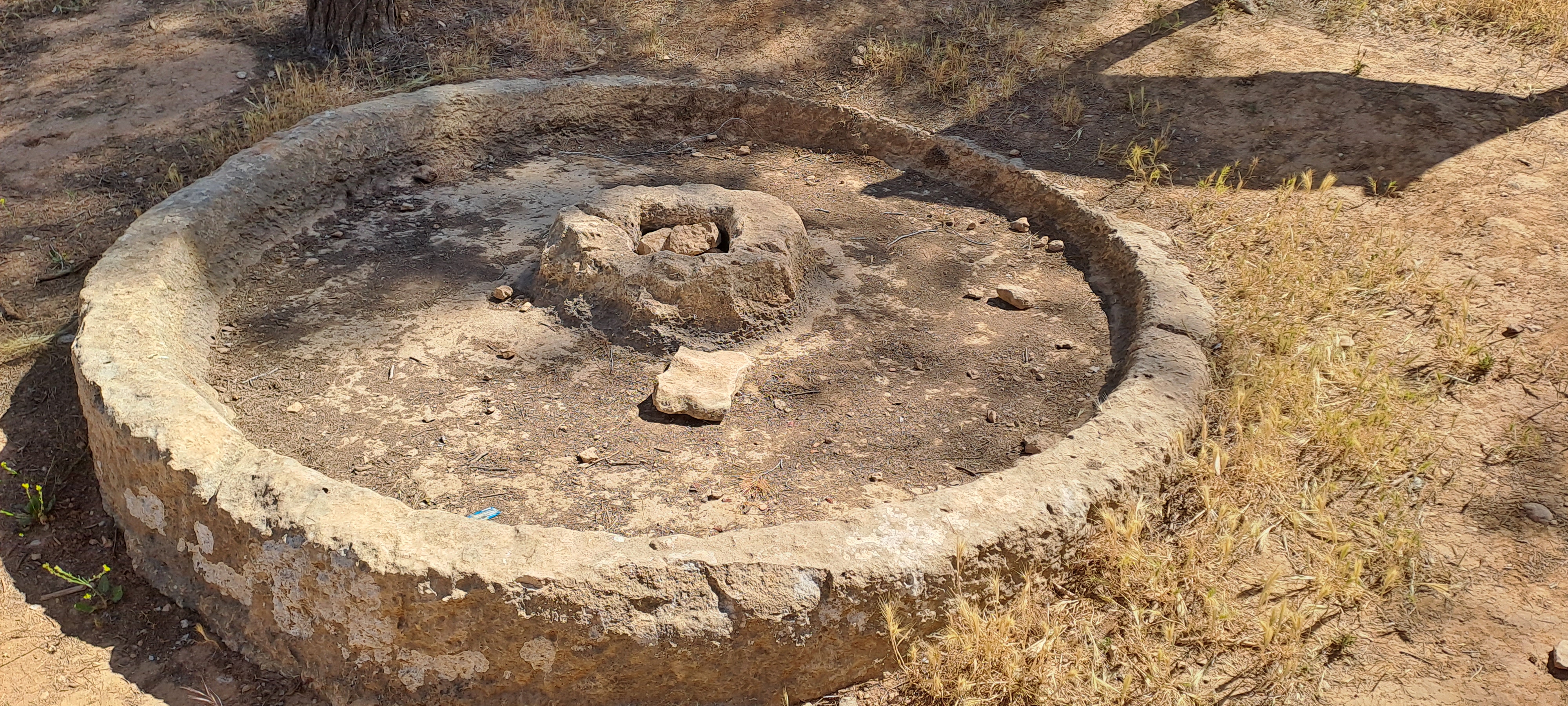 טיולי ירושלים